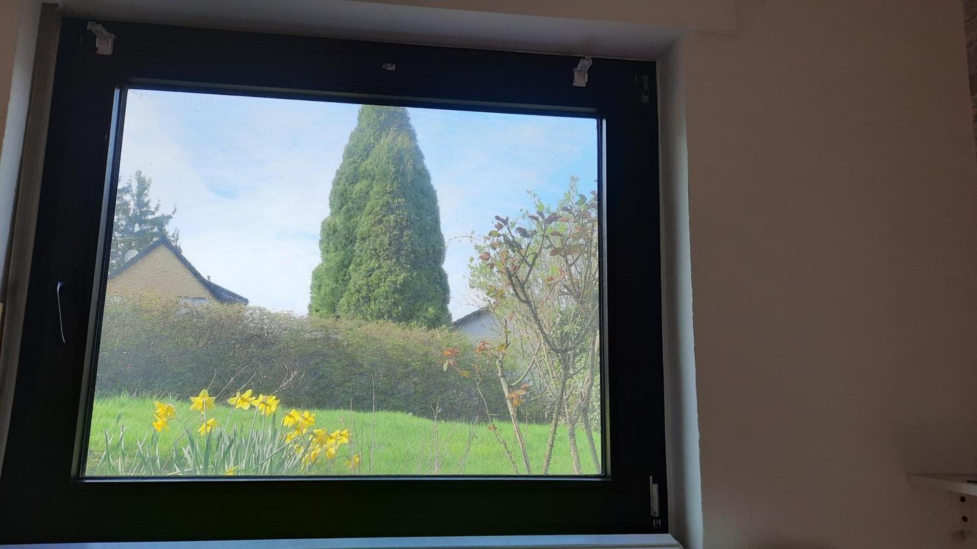 Kleine Ferienwohnung In Ruhiger Lage Herzogenrath Bagian luar foto